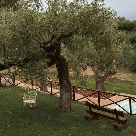 Villa Casolare Cento Ulivi Luxury & Charme - Exclusive Use Ascea