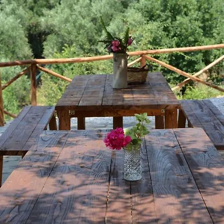 Villa Casolare Cento Ulivi Luxury & Charme - Exclusive Use