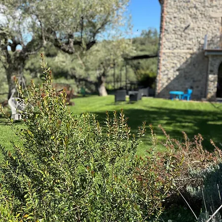 Villa Casolare Cento Ulivi Luxury & Charme - Exclusive Use Ascea