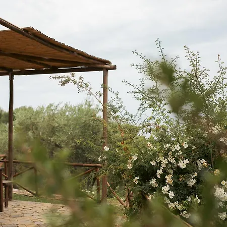 Villa Casolare Cento Ulivi Luxury & Charme - Exclusive Use *