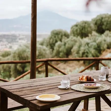 Casolare Cento Ulivi Luxury & Charme - Exclusive Use Villa *