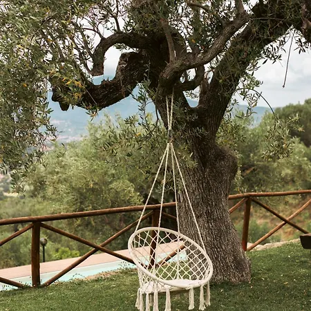 Casolare Cento Ulivi Luxury & Charme - Exclusive Use Ascea